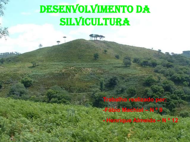 Desenvolvimento da silvicultura 11 4