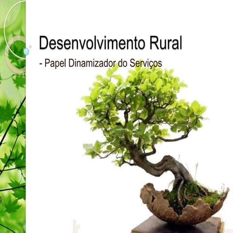 Desenvolvimento rural 11 4