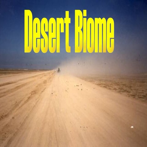 Desert