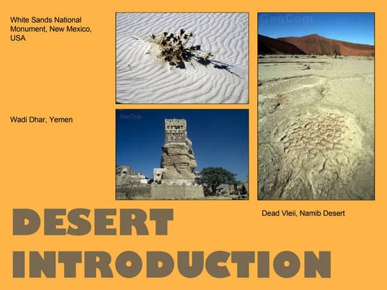 The Desert Climate Docx