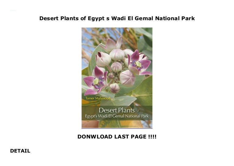 Desert Plants of Egypt s Wadi El Gemal National Park