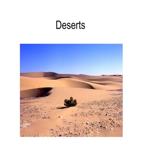 Desert 
