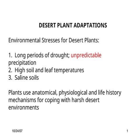 Xerophytes | PDF