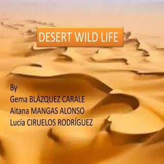 Desert animals