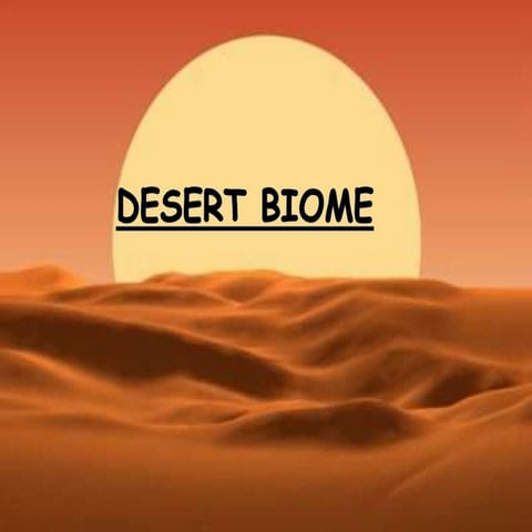 Desert biome