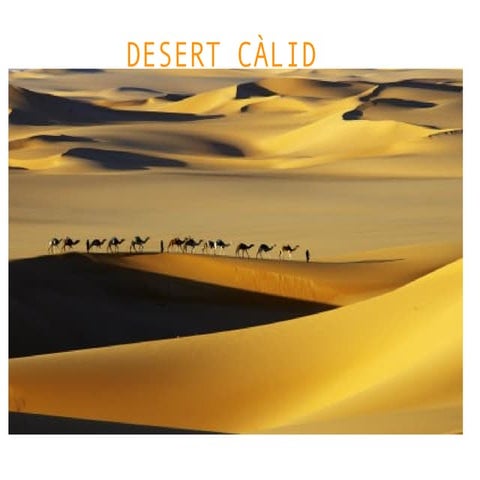 Desert calid 
