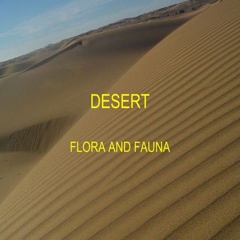 Desert flora & fauna