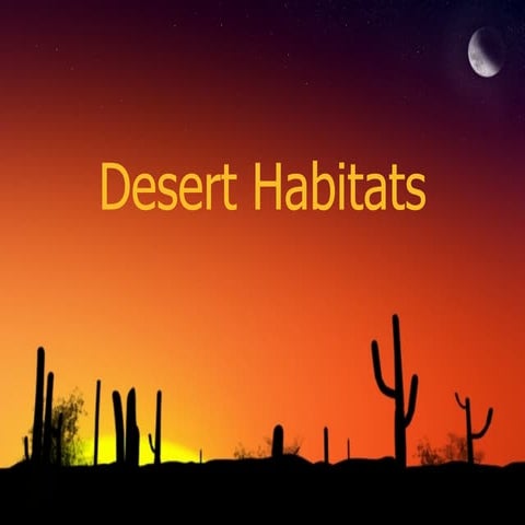 Desert Habitat