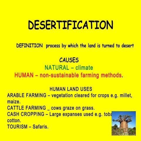 Desertification
