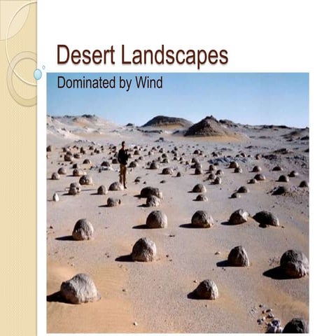Desert landscapes dominated by wind