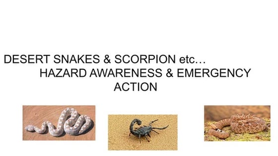 Basic safety against snake bite at work place | PPTX | First Aid | Injuries