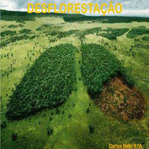 Desflorestação