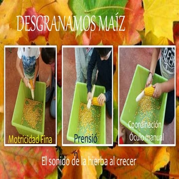 desgranar maíz.pptx