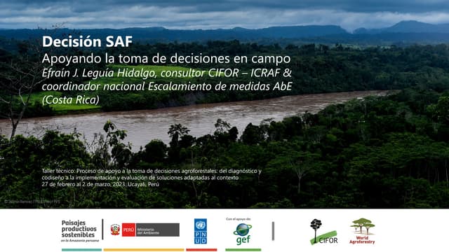 thumbnail of  Decisión SAF: Apoyando la toma de decisiones en campo