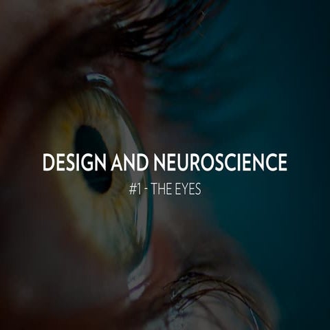 Design & Neuroscience - The Eyes