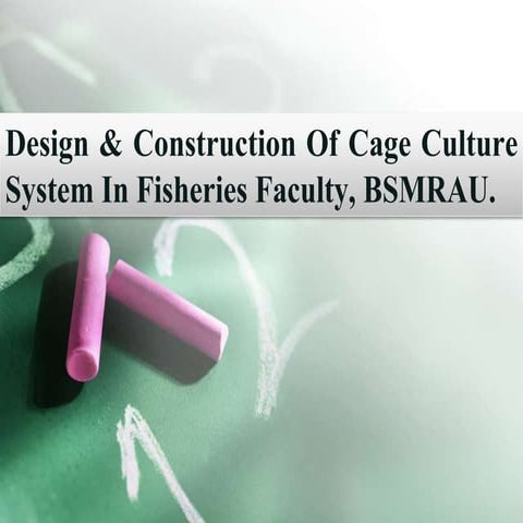 Design & construction of cage culture system 