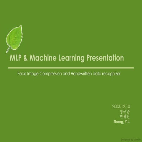 Designed by Identity MLP 