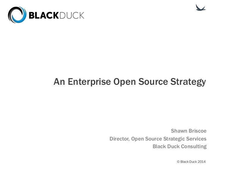 An Enterprise Open Source Strategy
