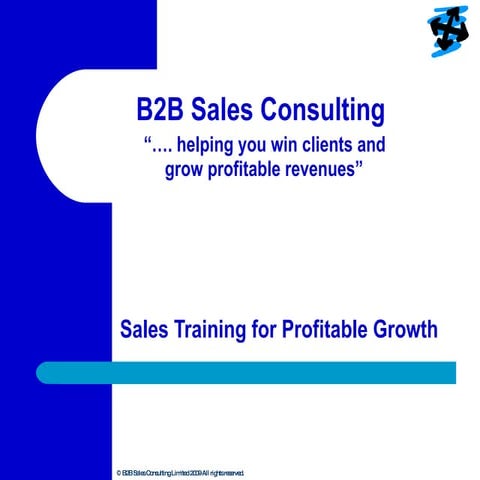 Sales Training For Profitable Revenues With B2B Sales Consulting 2009