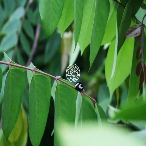 O Design nas Pequenas e Médias Empresas (PME's)