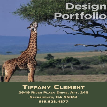 Design Portfolio Office Events