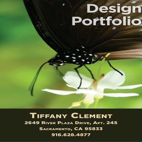 Design Portfolio Special Events