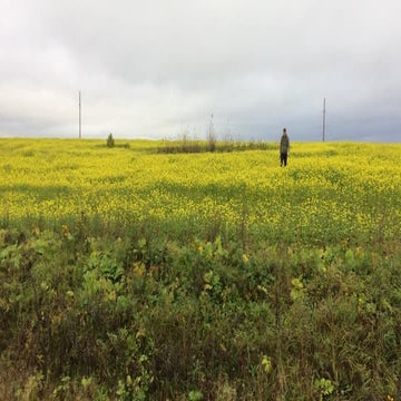 Data-driven urban design