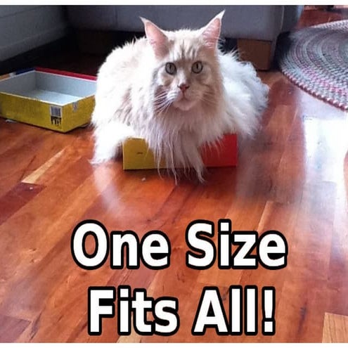 Designing for different platforms