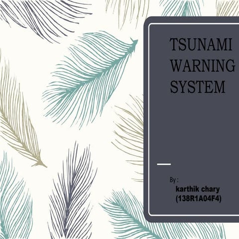 Tsunami warning system