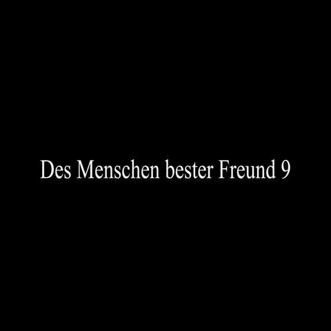 Des Menschen bester Freund