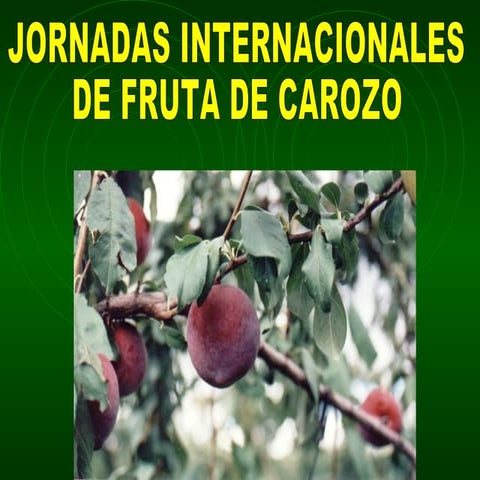 Desordenes fisiologicos carozo | PPT