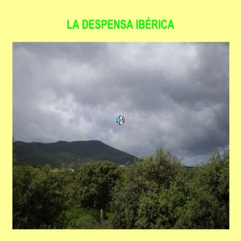 Despensa IbÉRica