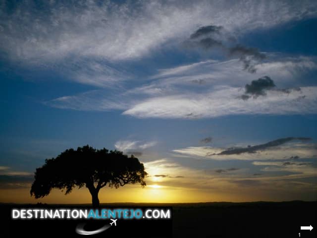 Destination Alentejo