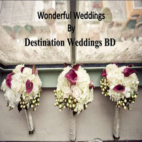 Destination wedding bd