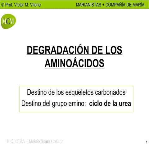 CATABOLISMO DE LOS AMINOÁCIDOS