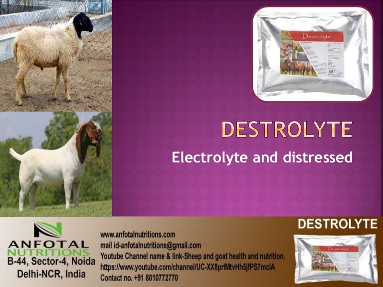 Animal Health and Nutrition