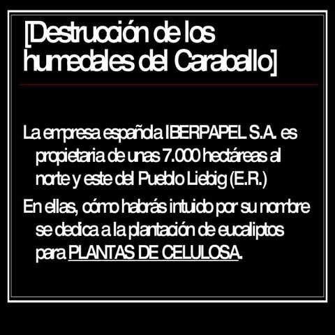 [DestruccióN De Los Humedales Del Caraballo]