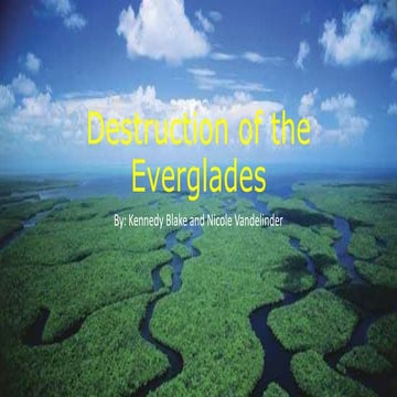 Destruction of the everglades