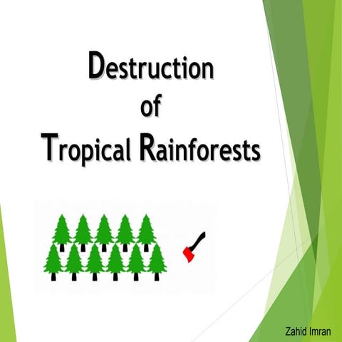 Destruction of tropical rainforests | PPT