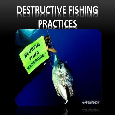 Ecofriendly fishing practices | PPTX