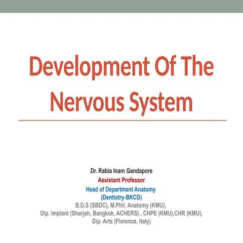 Detail Development of nervous system by Dr. Rabia Inam Gandapore.pptx