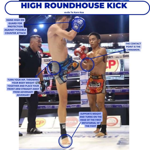 Detailed Analysis of Muay Thai Strikes and Techniques | PDF