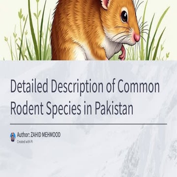 Different Types of Rodents: Common and Uncommon Rodent Species | PDF