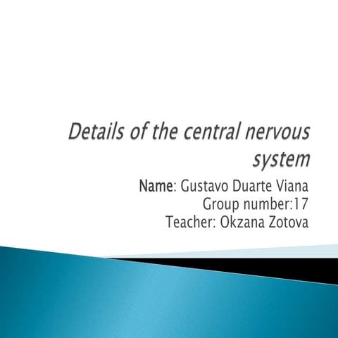 Details of the central nervous system