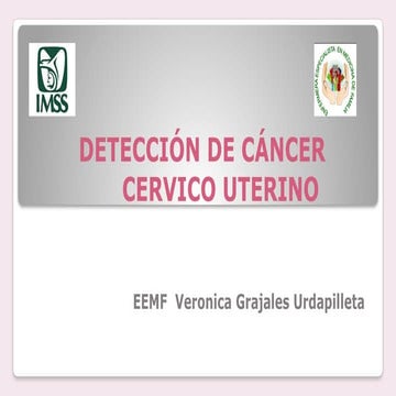 INSTRUCTIVO LLENADO FORMATO RAIS MED PRE | PDF