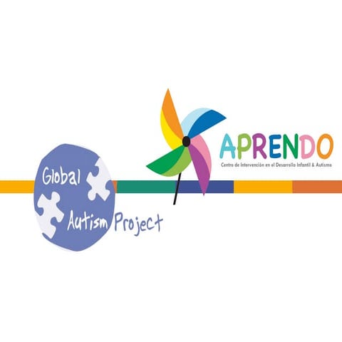 Global Autism Project: Sustainable Training and Evidence-Based ...