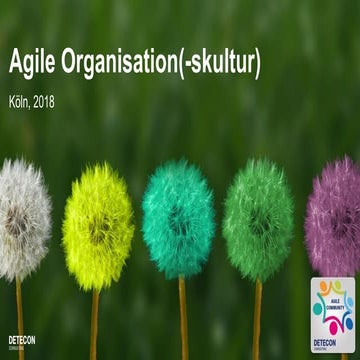 Agile Organisationsstruktur - Ein Überblick