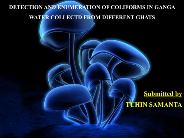 Detection and Enumeration of Coliforms in Ganga Water