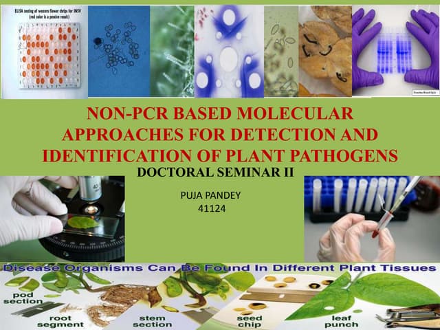 Serological detection techniques of plant viruses | PDF