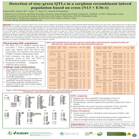 Detection of stay-green QTLs in a sorghum recombinant inbred population based...